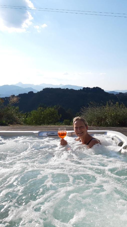 Ferienhaus Pavone *