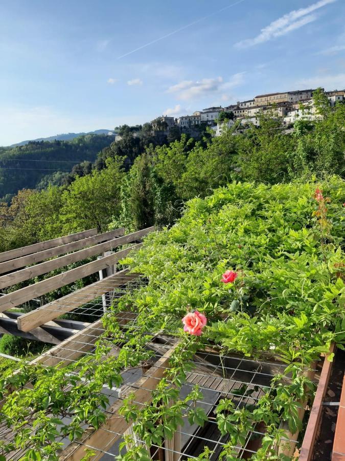 Ferienhaus Pavone *
