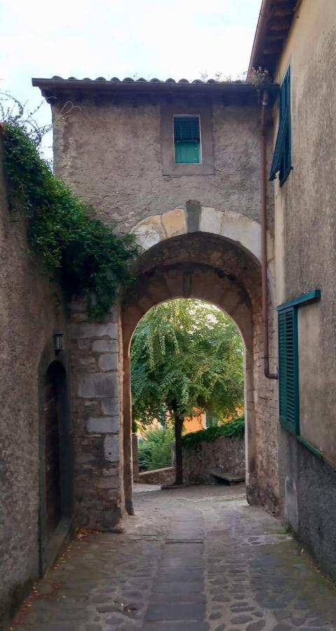 Ferienhaus Pavone *