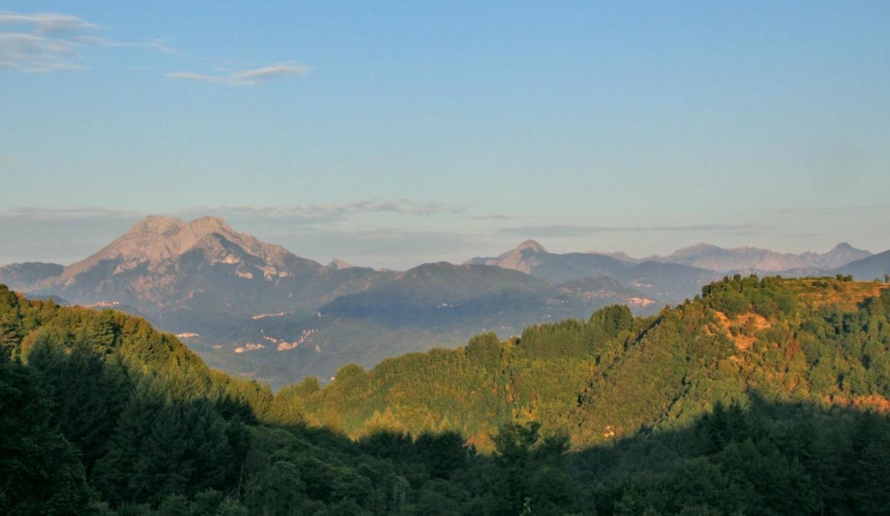 Pavone * Coreglia Antelminelli